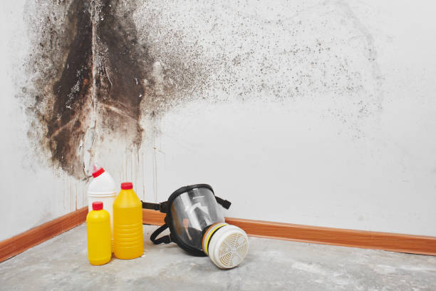 Water damage restoration mold remediation in Parkston, SD